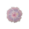 🧸Hibiscus sticker