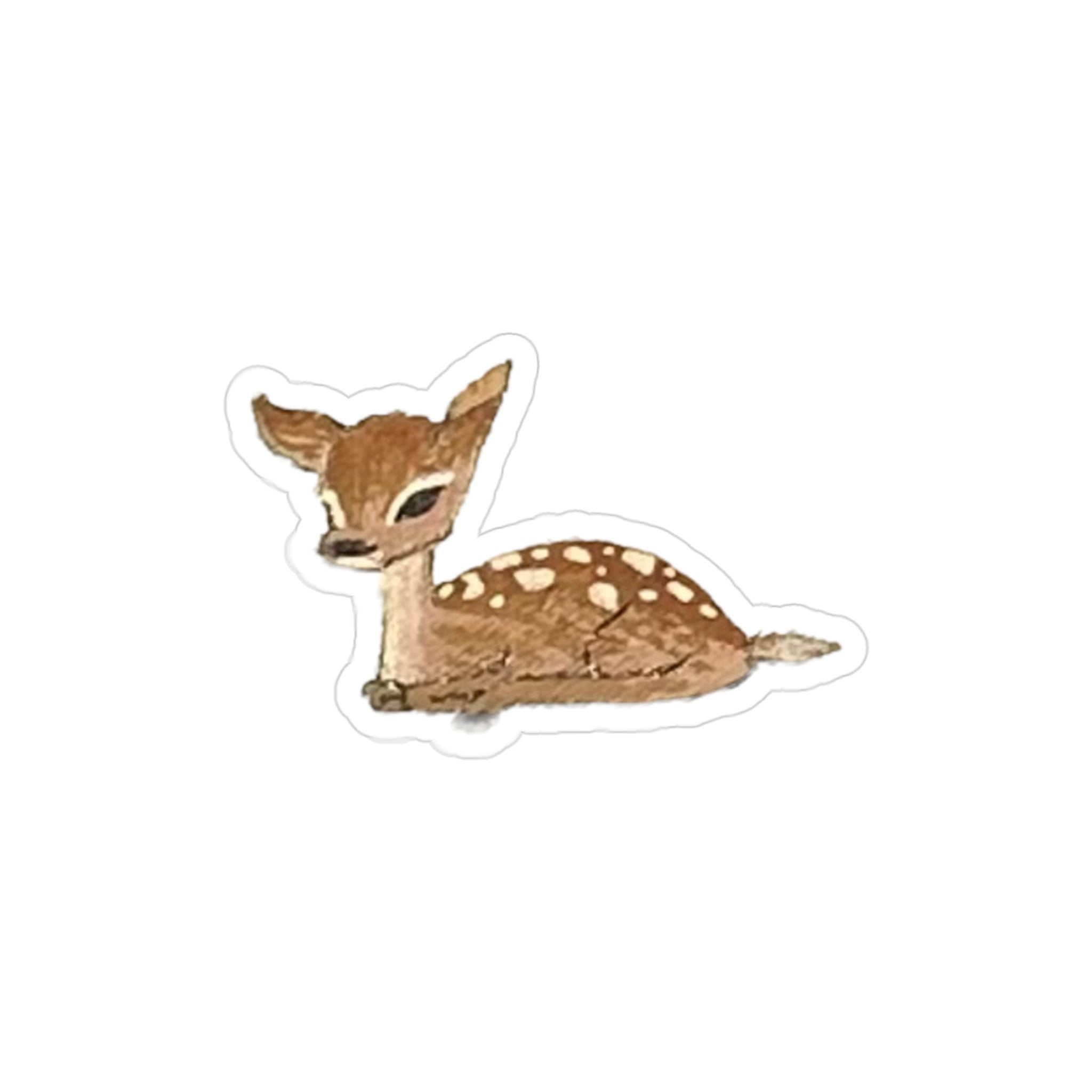 🧸Fawn sticker